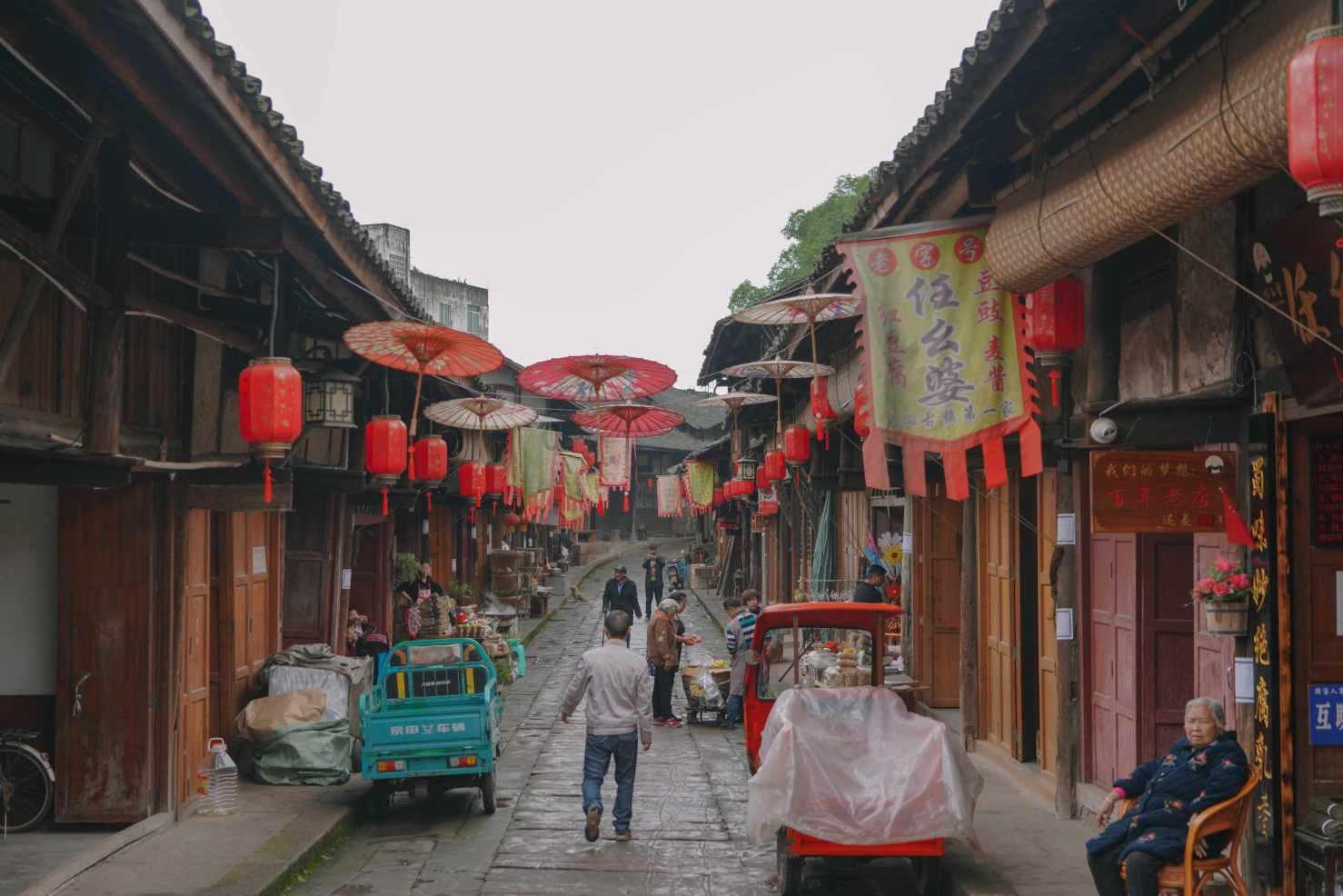 逃离橡子树种植地